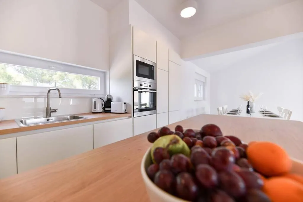 New Villa Buterin With Heated Pool Novigrad