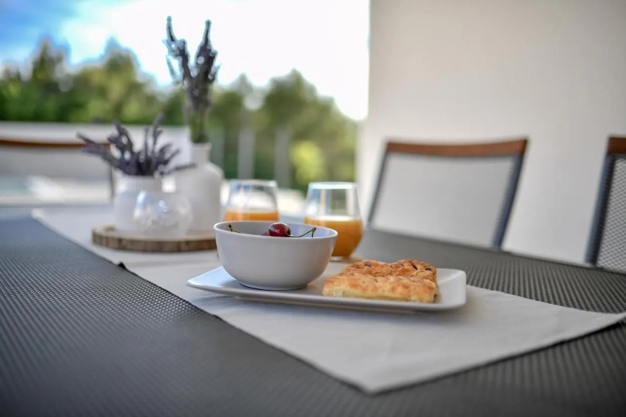 New Villa Buterin With Heated Pool Novigrad